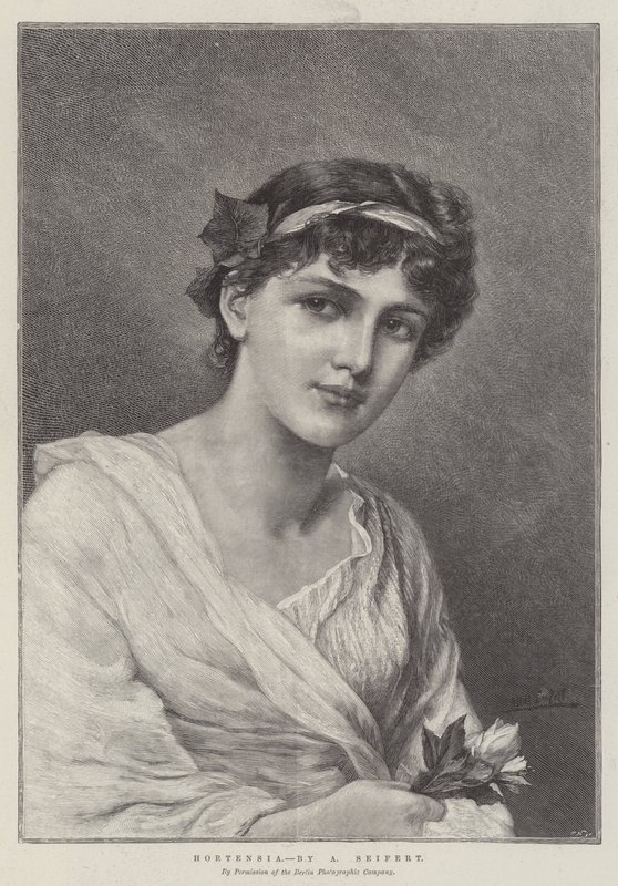 Hortensja autorstwa Alfred Seifert