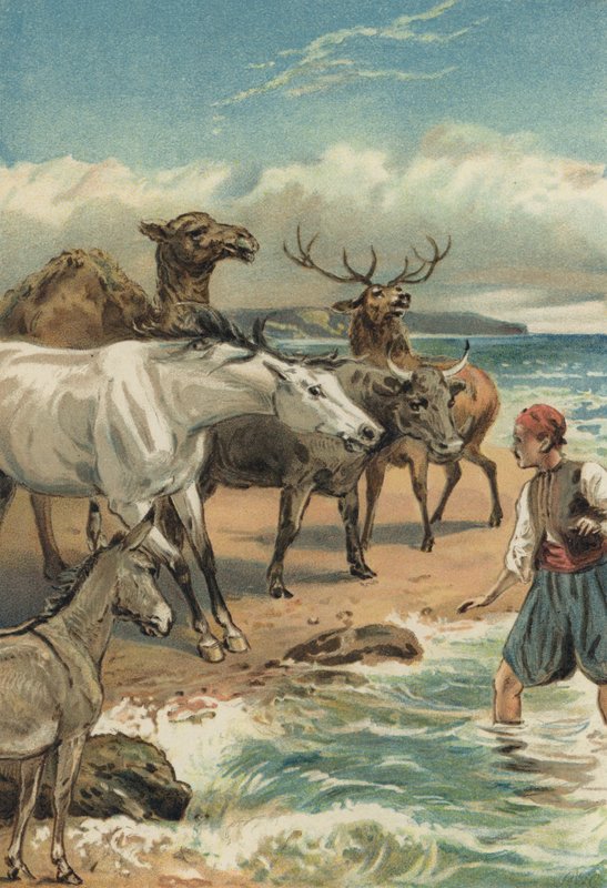 Arabian Nights: Historia Bedera i Giauhare autorstwa Alfred W. Cooper
