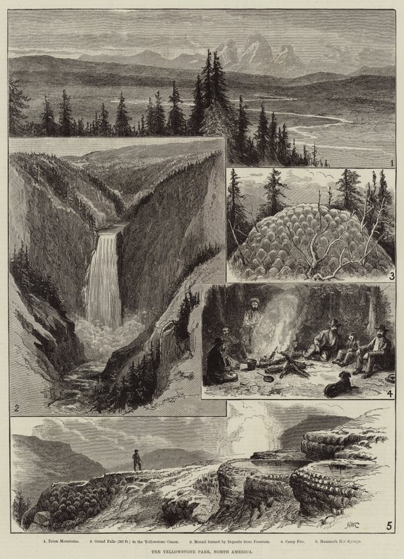 Park Yellowstone, Ameryka Północna autorstwa Alfred W. Cooper