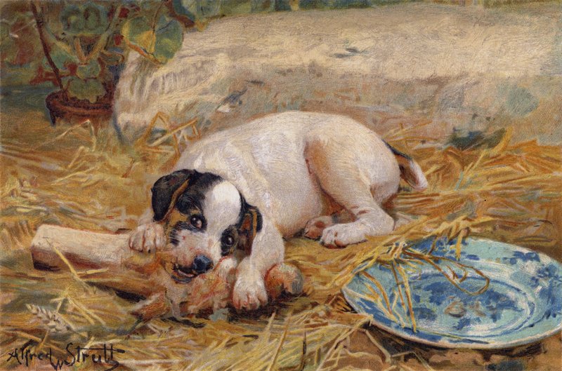 Im bliżej kości, tym słodsze mięso (chromolitho) autorstwa Alfred William Strutt