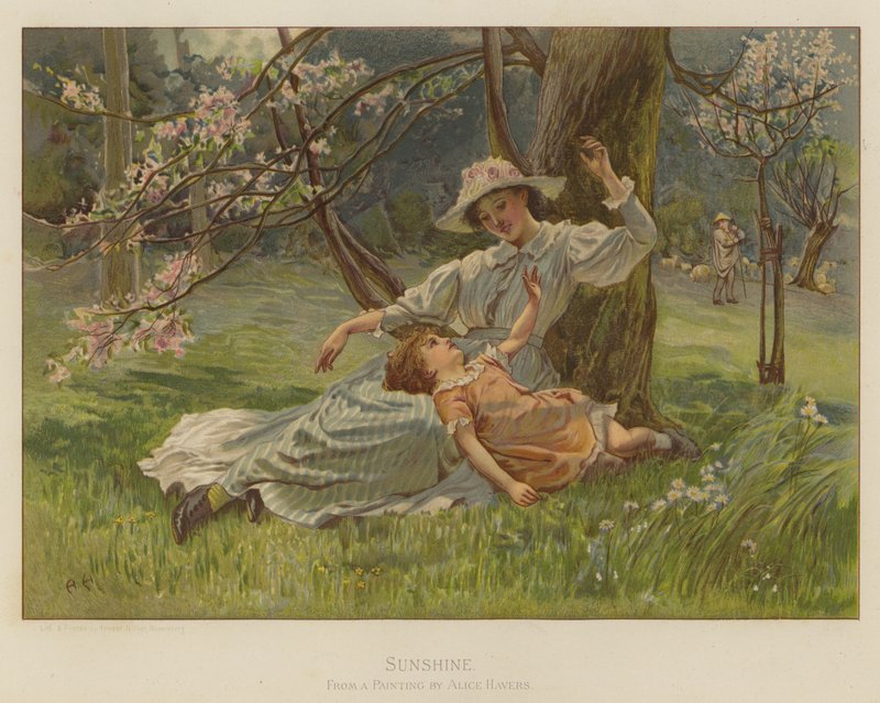 Sunshine autorstwa Alice Havers
