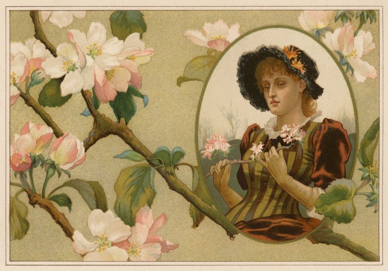 Zmyślona gałąź jabłoni (chromolitho) autorstwa Alice Havers