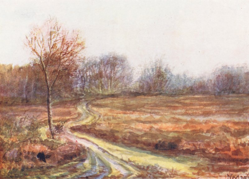 New Forest: Cart Track over the Moor, koniec listopada (kolorowa litografia) autorstwa Alice Julia Argles