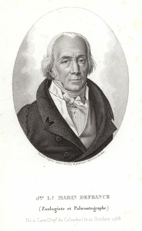 Jacques-Louis Marin z Francji autorstwa Ambroise Tardieu