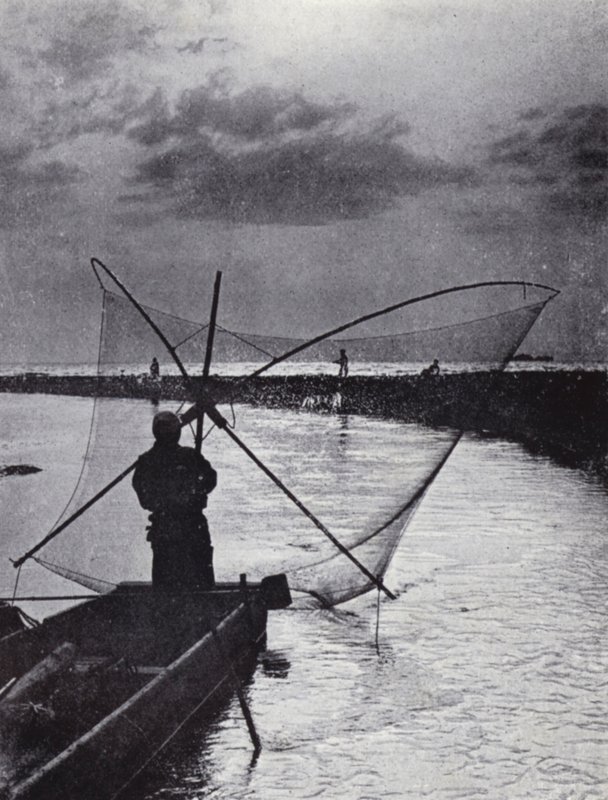 Japoński rybak rysujący sieć (zdjęcie czarno-białe) autorstwa American Photographer (after)