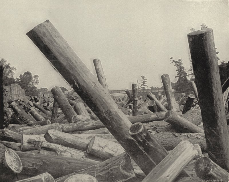 Log Jam w St Croix River, Wisconsin (zdjęcie czarno-białe) autorstwa American Photographer (after)