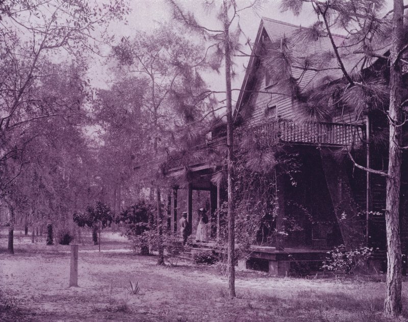 Dom w cieniu Southern Pines na Florydzie (zdjęcie czarno-białe) autorstwa American Photographer (after)