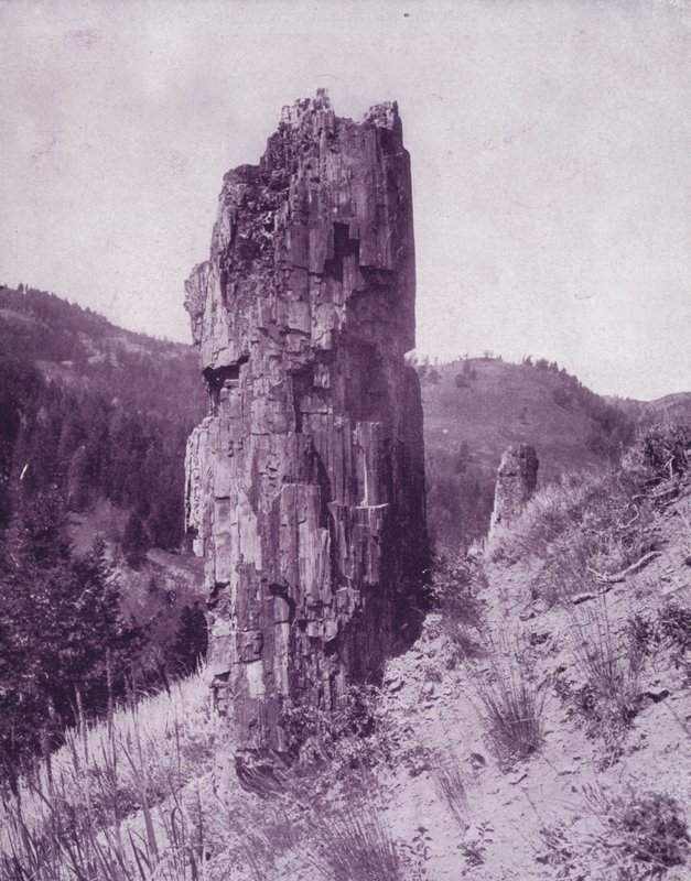 Skamieniałe drzewo na złych ziemiach Dakoty (zdjęcie czarno-białe) autorstwa American Photographer (after)