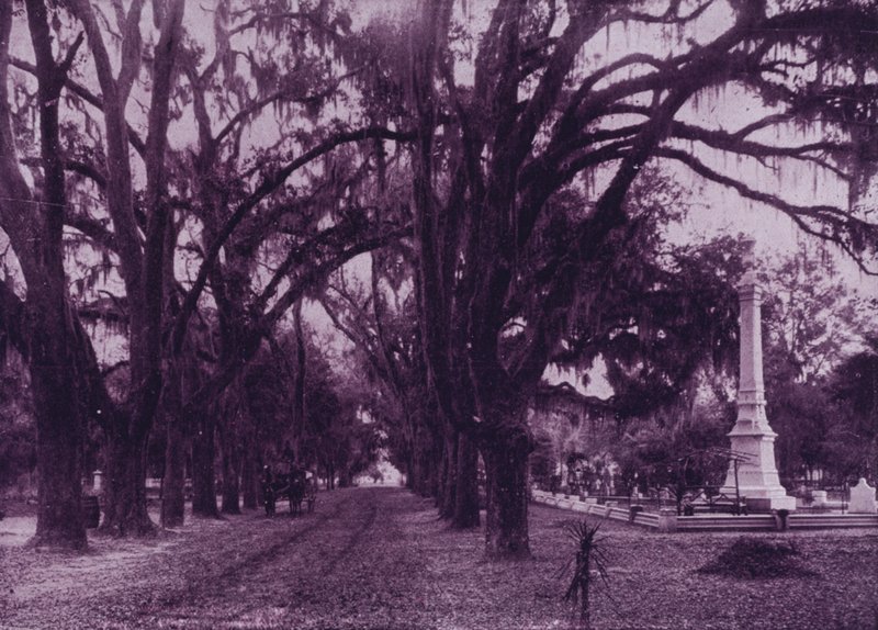 Cmentarz Bonawentury, Savannah, Gruzja (zdjęcie czarno-białe) autorstwa American Photographer (after)