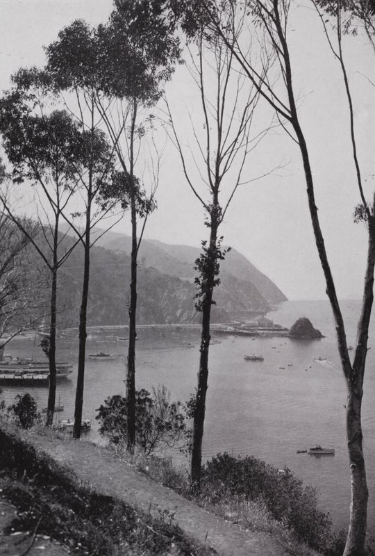 Kalifornia: Bay of Avalon, Santa Catalina Island, magiczna kraina zabaw na Oceanie Spokojnym 50 mil od południowej Kalifornii (zdjęcie czarno-białe) autorstwa American Photographer (after)