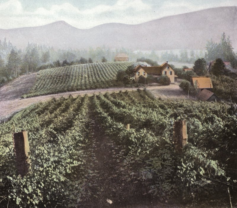 Oregon: Zróżnicowane rolnictwo w Dolinie Willamette (zdjęcie) autorstwa American Photographer (after)