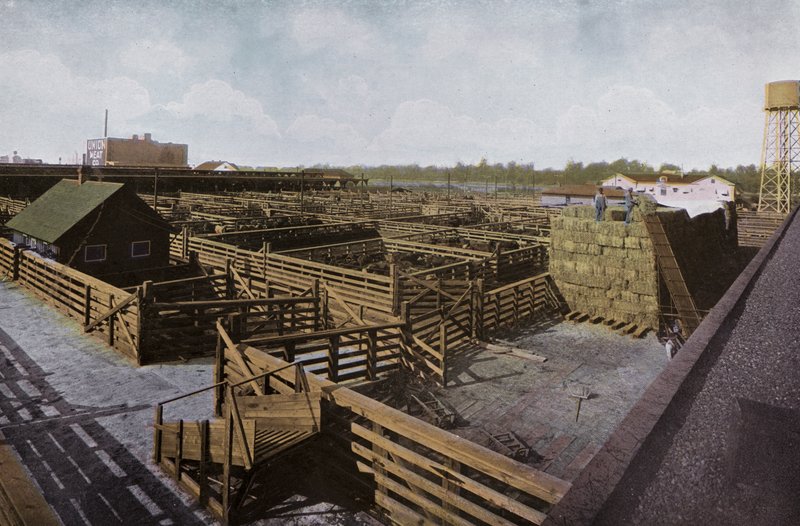 Oregon: Portland Union Stock Yards (zdjęcie) autorstwa American Photographer (after)