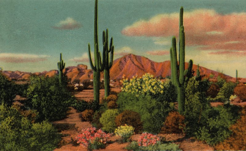Phoenix, Arizona: Góra Camelback i pustynia (zdjęcie) autorstwa American Photographer (after)