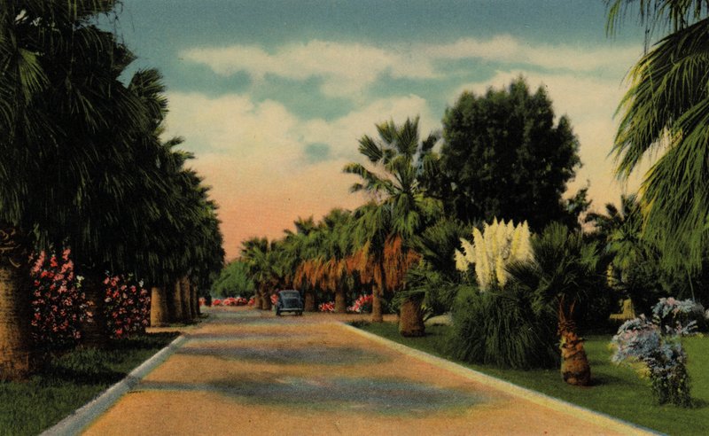 Phoenix, Arizona: Country Club Park (zdjęcie) autorstwa American Photographer (after)