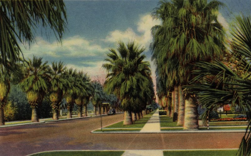 Phoenix, Arizona: North Central Avenue (zdjęcie) autorstwa American Photographer (after)