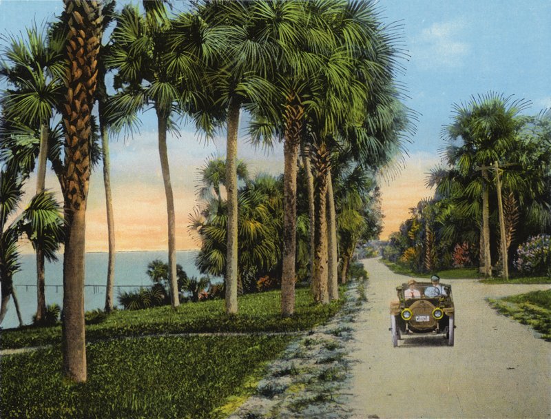 Riverside Drive, Fort Pierce, Floryda (zdjęcie) autorstwa American Photographer (after)
