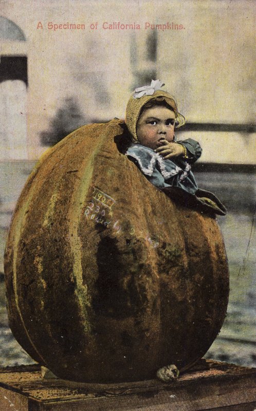 Okaz dyni kalifornijskich (przyciemnione zdjęcie) autorstwa American Photographer