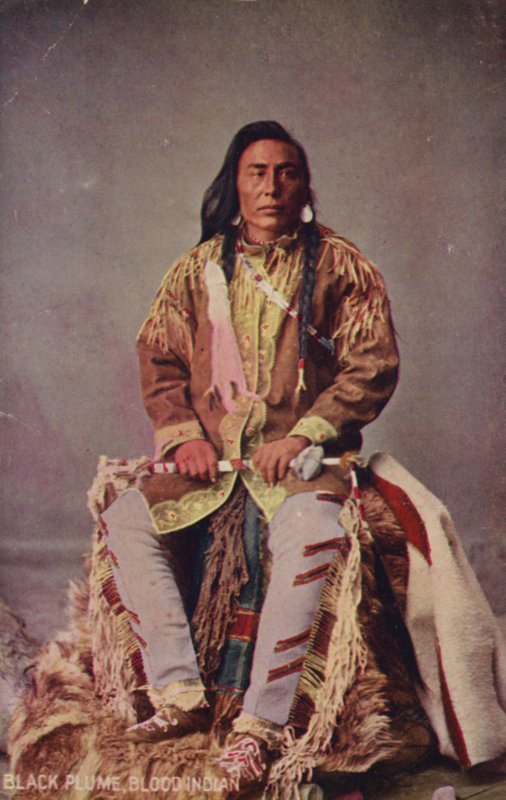 Black Plume, Blood Indian (zdjęcie) autorstwa American Photographer