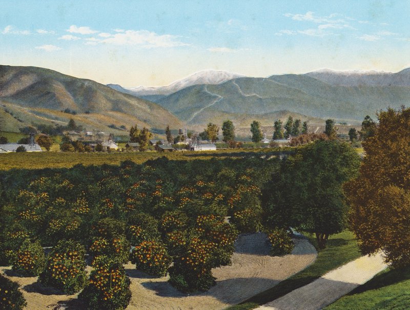 "Old Baldy" z Pomona Valley (zdjęcie kolorowe) autorstwa American Photographer