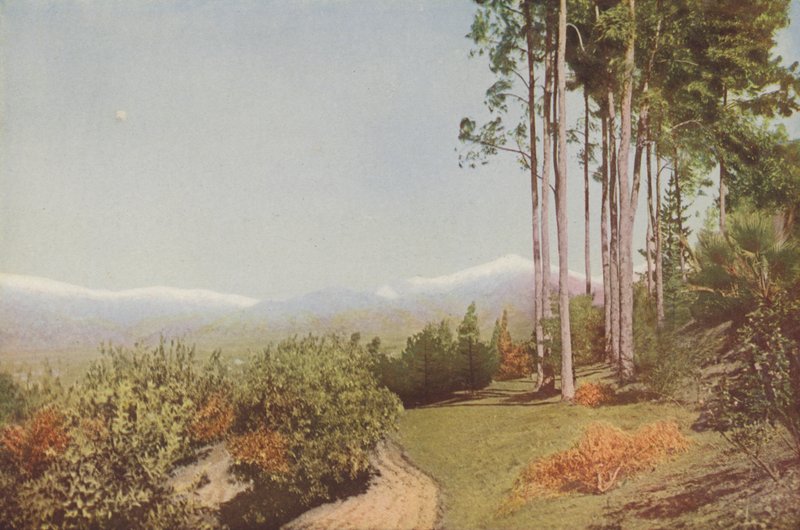 "Old Baldy" ze Smiley Heights w Kalifornii (zdjęcie kolorowe) autorstwa American Photographer
