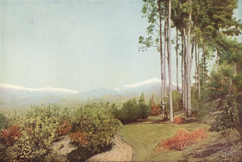 Old Baldy, z Smiley Heights w Kalifornii (kolorowe zdjęcie) autorstwa American Photographer
