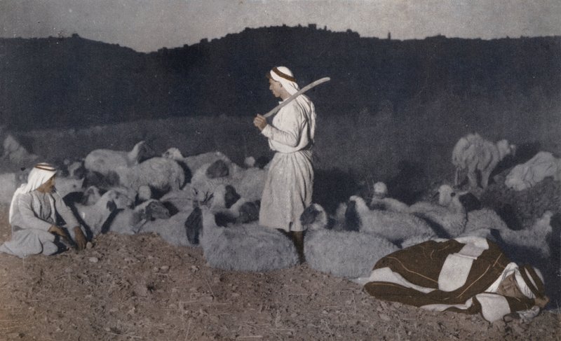 Palestyńscy pasterze obserwujący swoje stada nocą (zdjęcie kolorowe) autorstwa American Photographer