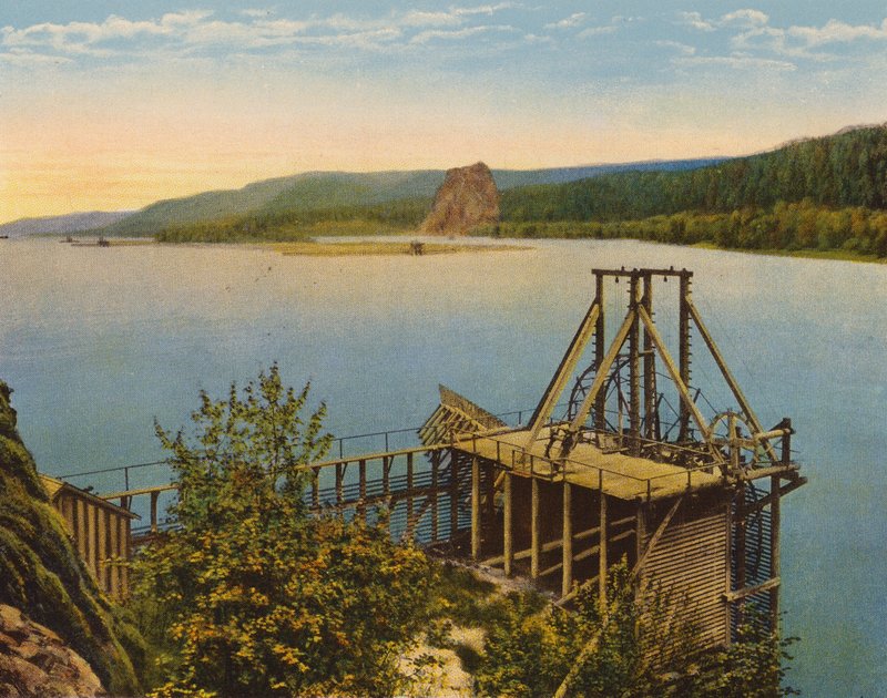 Koło łososia na rzece Columbia (zdjęcie kolorowe) autorstwa American Photographer