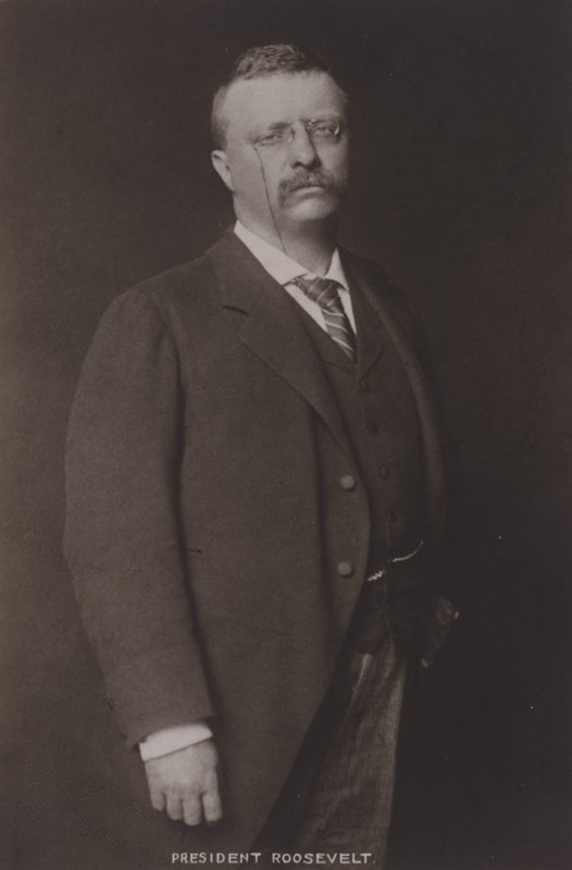 Theodore Roosevelt, 26 prezydent Stanów Zjednoczonych, 1904 autorstwa American Photographer