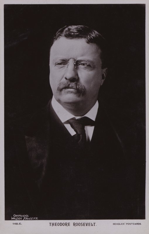 Theodore Roosevelt, amerykański polityk i 26. prezydent Stanów Zjednoczonych (zdjęcie czarno-białe) autorstwa American Photographer