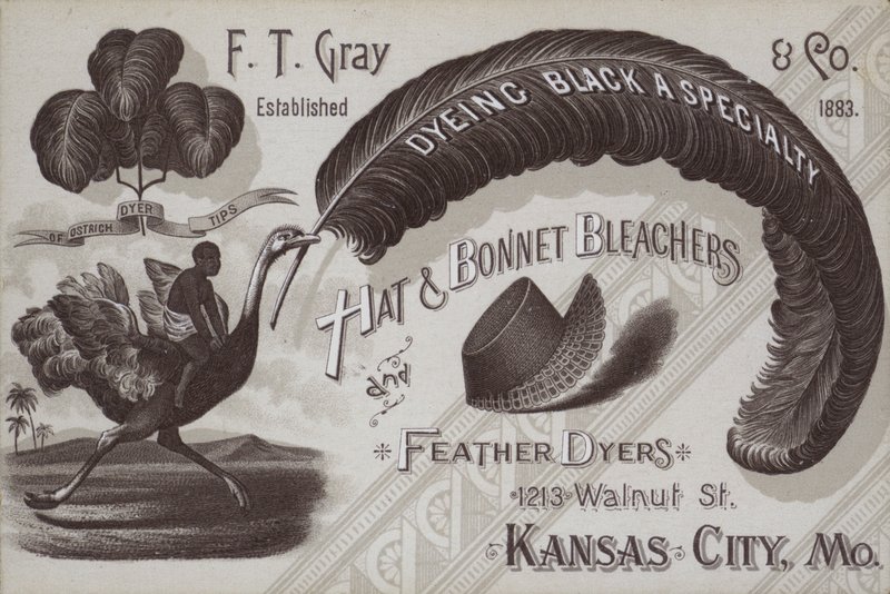 Reklama dla F T Grey, trybun do czapek i czepków oraz farbiarek piór, Kansas City, Missouri, USA (litho) autorstwa American School