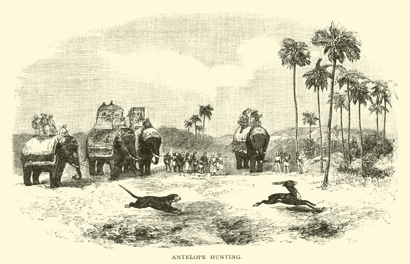 Polowanie na antylopy autorstwa American School