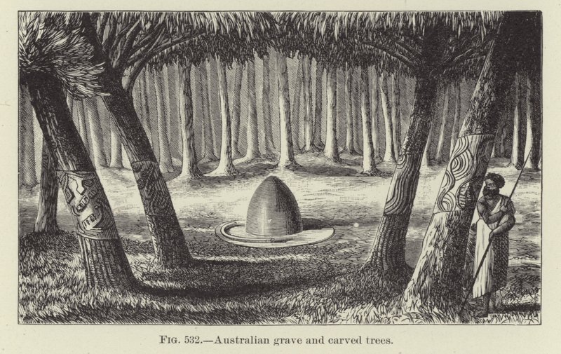 Australijskie drzewa grobowe i rzeźbione autorstwa American School