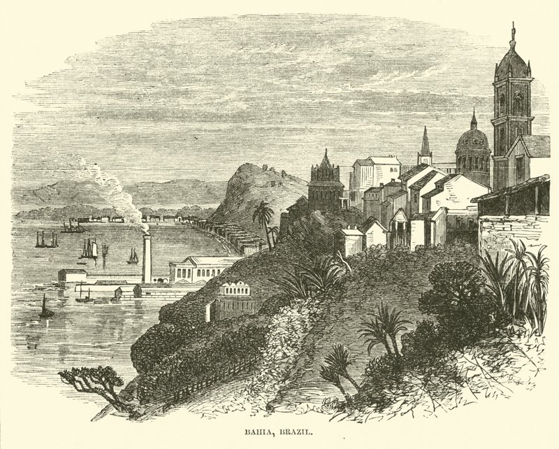 Bahia, Brazylia, lipiec 1862 r. autorstwa American School