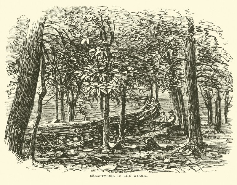Napierśnik w lesie, lipiec 1863 r. autorstwa American School