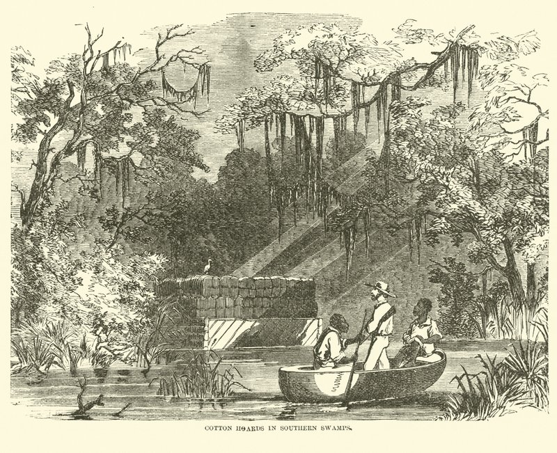 Zapasy bawełny na południowych bagnach, lipiec 1862 r. autorstwa American School