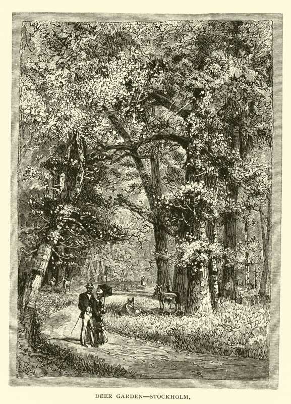 Deer Garden, Sztokholm autorstwa American School