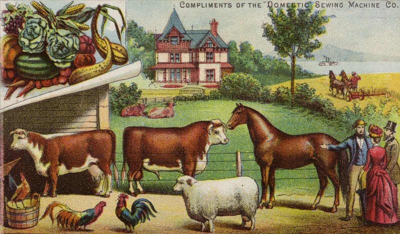 Dom na farmie i zwierzęta autorstwa American School