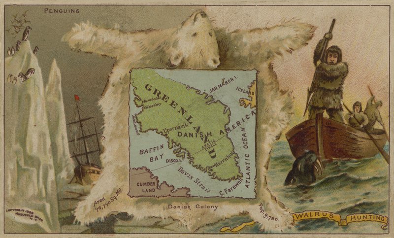 Grenlandia, pingwiny, niedźwiedzie polarne i polowanie na morsy (chromolitho) autorstwa American School