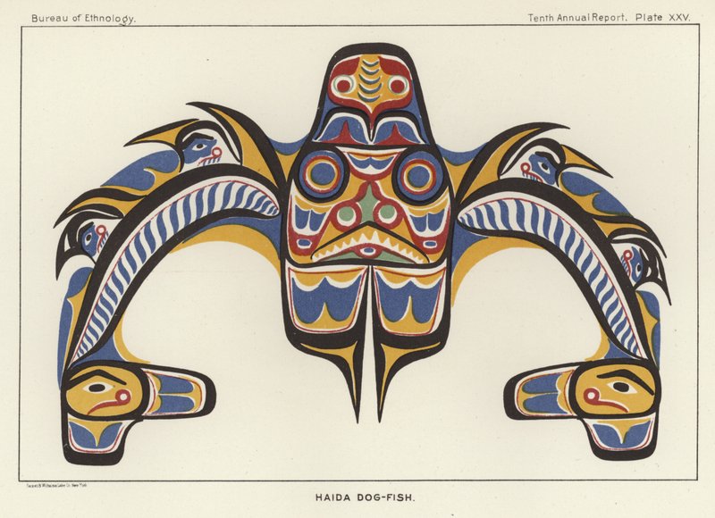 Haida Dog-ryba autorstwa American School