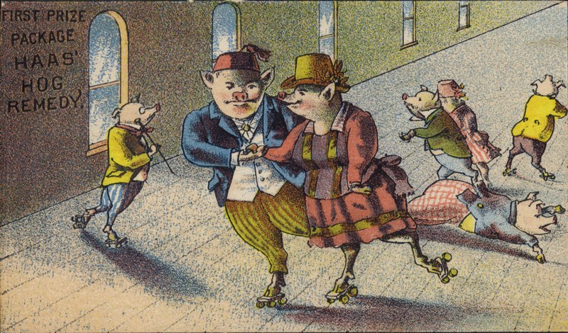 Hogs jazda na rolkach autorstwa American School