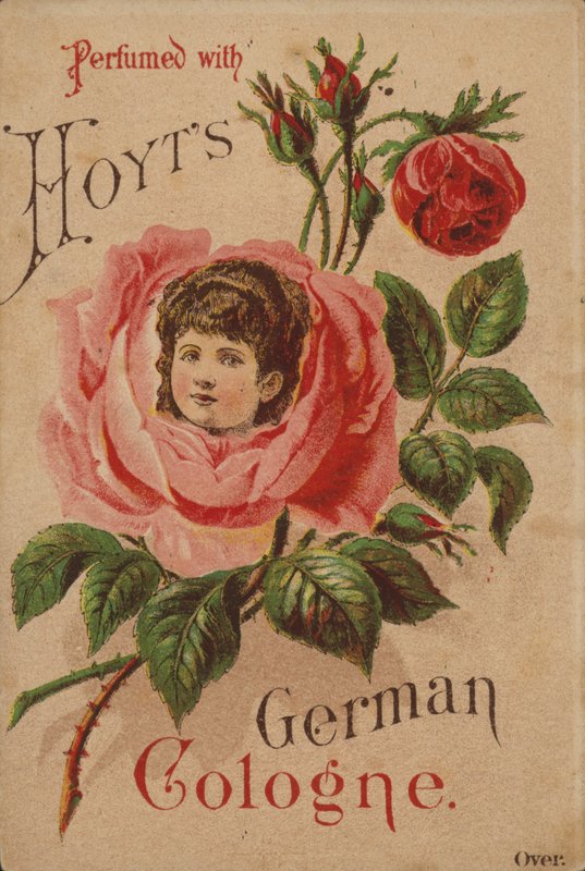Hoyts Niemiecka Kolonia autorstwa American School