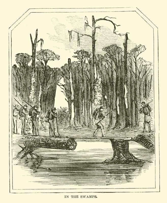 Na bagnach, marzec 1863 autorstwa American School