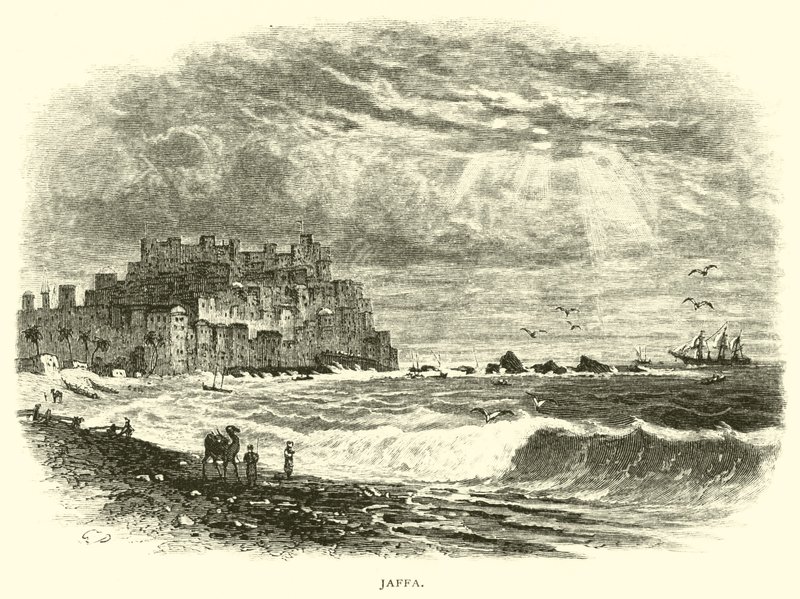 Jaffa autorstwa American School