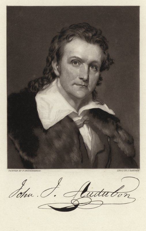 John James Audubon autorstwa American School