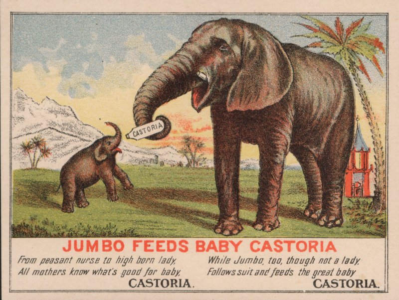 Jumbo karmi małą Castorię, reklama leku Castoria Fletchera, ze słynnym słoniem cyrkowym PT Barnuma autorstwa American School