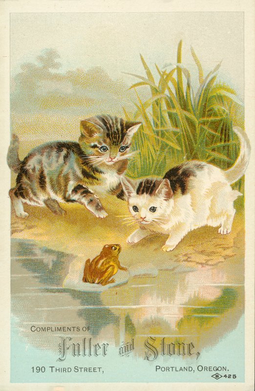 Kocięta spotykające żabę (chromolitho) autorstwa American School