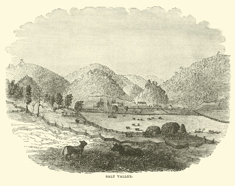 Dolina Solna, grudzień 1864 r. autorstwa American School