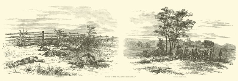 Sceny na polu po bitwie, wrzesień 1862 autorstwa American School