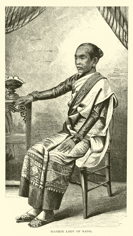 Syjamska dama rangi autorstwa American School