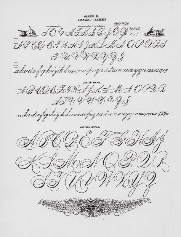 Listy standardowe; Ręka damska; Kapitele na całe ramię (grawerowanie) autorstwa American School
